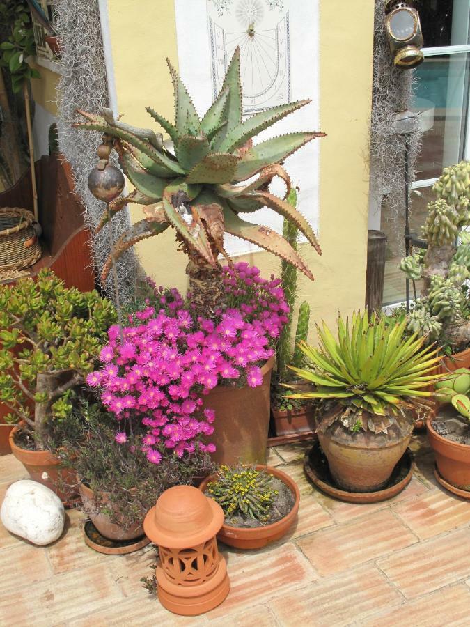 米尔芳提斯城 Casa Dos Cactos酒店 外观 照片
